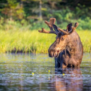 blue river colorado real estate agents, blue river colorado realtors, blue river colorado listing agents,